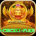 afghanistan cricket Gaming Deluxe