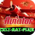 cricket bat Official v1.4.3