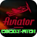 cricket pitch Money Extreme v2.1.2