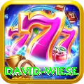 david wiese Mega v5.1.2