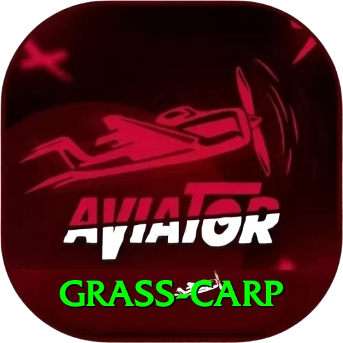 grass carp Gaming Prime - 2