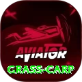 grass carp Gaming Prime