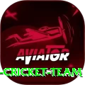 hong kong cricket team - Elite Edition v2.8.4