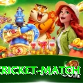india cricket match Live Pro v5.7.2