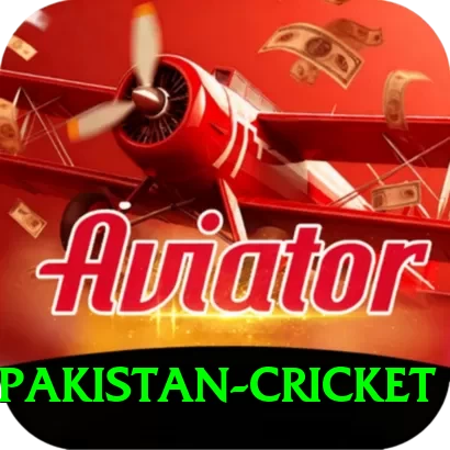 india pakistan cricket Games Premium - 2