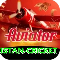 india pakistan cricket Games Premium
