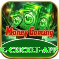 live cricket app VIP Casino App
