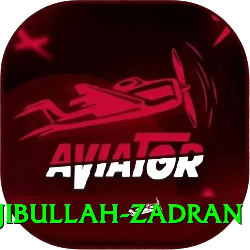 najibullah zadran Mobile King - 2