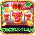 netherlands cricket team Pakistan VIP v1.6.4