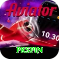 pkspin Money Turbo v2.3.2
