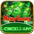 smart cricket live Mega Casino App