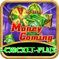 sports cricket Casino Mega v5.1.0