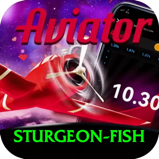 sturgeon fish Premium 2024 - 2