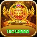 tiger888 VIP - Free Download