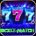 to day cricket match Mobile Master