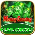watch live cricket Gaming King