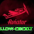 willow cricket Mega v1.6.2